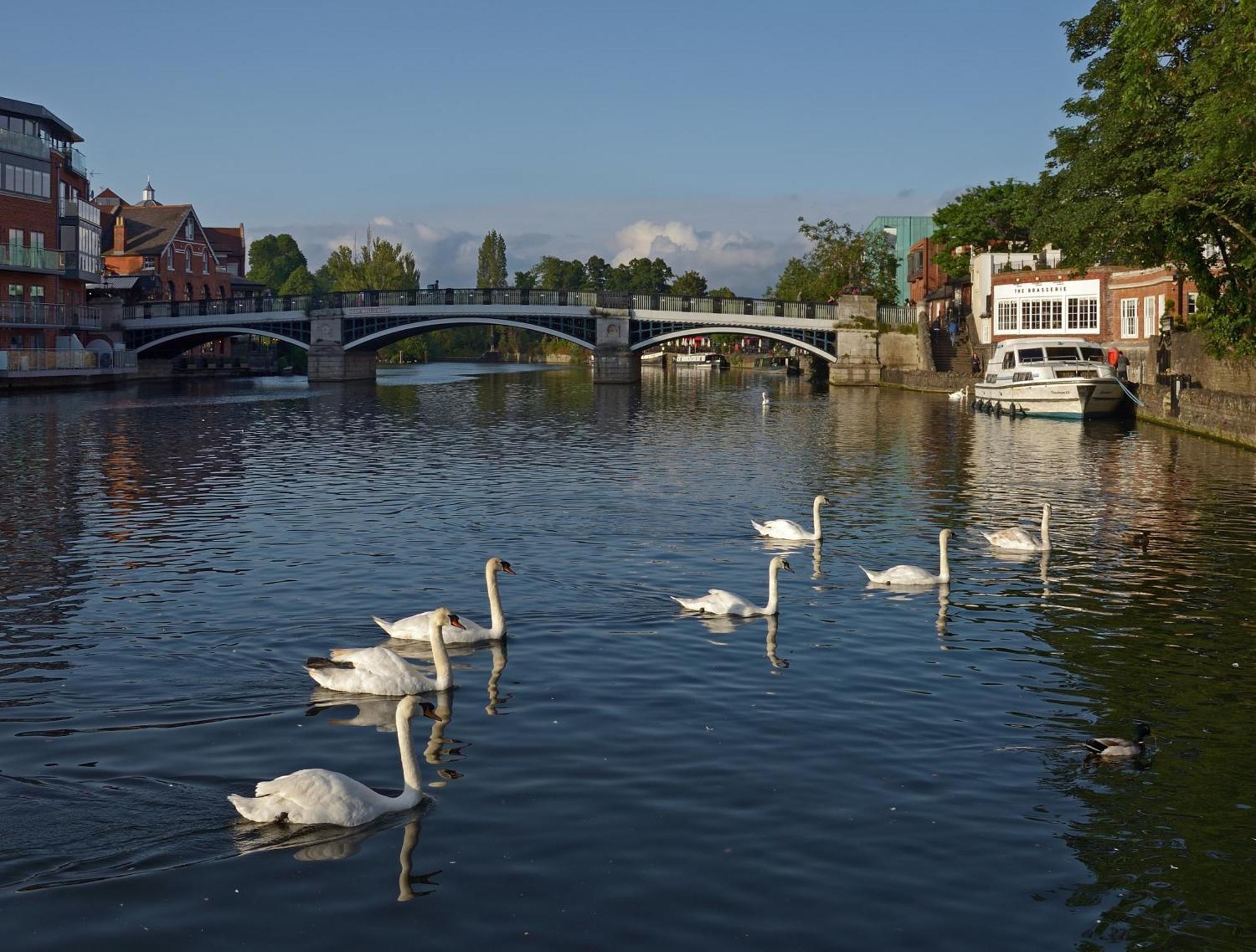 Top Floor En-Suite Double Bedrooms With Great View Of Windsor Castle & Free Parking Esterno foto